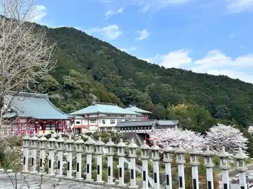 総本山　本福寺の{uncategorized: "未分類", other: "その他", undefined: "問題あり", building: "その他建物", grave: "お墓", sacred_gate: "鳥居", guardian: "狛犬", statue: "像", buddha: "仏像", history: "歴史", nature: "自然", garden: "庭園", animal: "動物", pagoda: "塔", temizu: "手水舎", mountain_gate: "山門・神門", sanctuary: "本殿・本堂", subordinate: "末社・摂社", art: "芸術", scenery: "景色", jizo: "地蔵", ema: "絵馬", goshuin: "御朱印", omikuji: "おみくじ", items: "授与品その他", amulet: "お守り", goshuincho: "御朱印帳", eats: "食事", festival: "お祭り", votive_dance: "神楽", shichigosan: "七五三参", wedding: "結婚式", experience: "体験その他", initially: "初詣", around: "周辺", anti_infection: "感染症対策"}