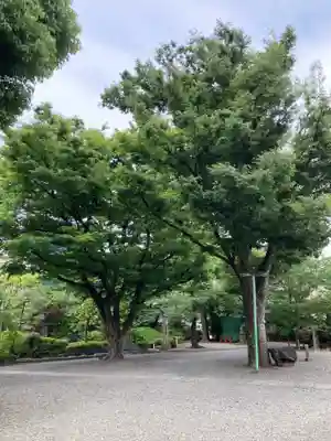 天祖諏訪神社(東京都)