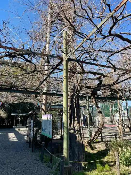 國領神社の{uncategorized: "未分類", other: "その他", undefined: "問題あり", building: "その他建物", grave: "お墓", sacred_gate: "鳥居", guardian: "狛犬", statue: "像", buddha: "仏像", history: "歴史", nature: "自然", garden: "庭園", animal: "動物", pagoda: "塔", temizu: "手水舎", mountain_gate: "山門・神門", sanctuary: "本殿・本堂", subordinate: "末社・摂社", art: "芸術", scenery: "景色", jizo: "地蔵", ema: "絵馬", goshuin: "御朱印", omikuji: "おみくじ", items: "授与品その他", amulet: "お守り", goshuincho: "御朱印帳", eats: "食事", festival: "お祭り", votive_dance: "神楽", shichigosan: "七五三参", wedding: "結婚式", experience: "体験その他", initially: "初詣", around: "周辺", anti_infection: "感染症対策"}