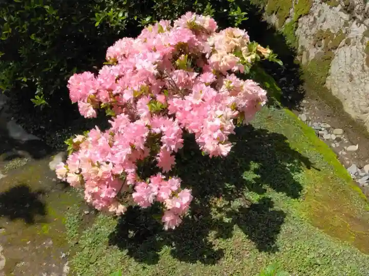 海蔵寺(神奈川県)