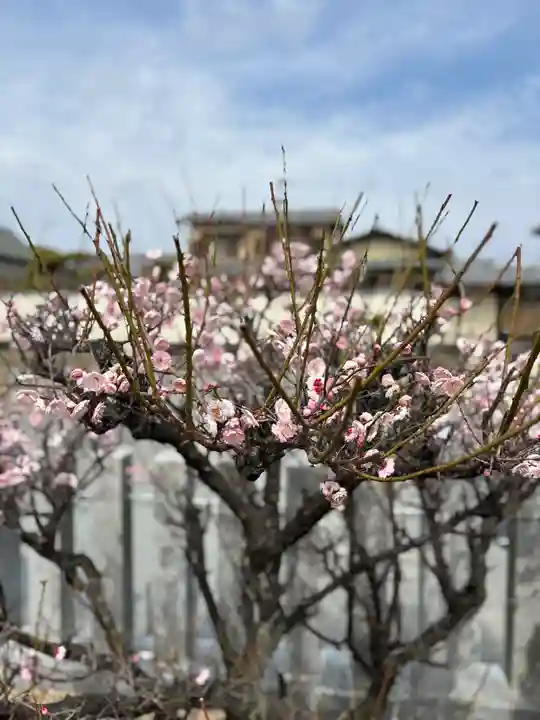 天神社(兵庫県)