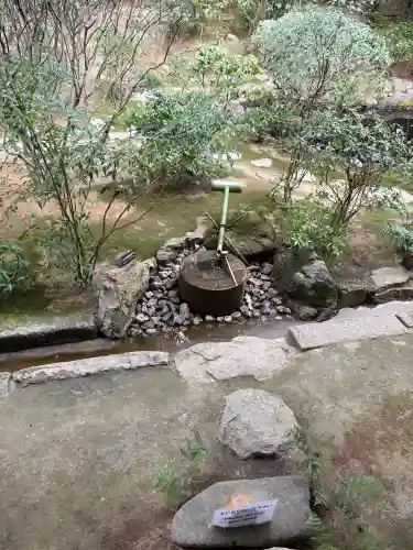 龍安寺の{uncategorized: "未分類", other: "その他", undefined: "問題あり", building: "その他建物", grave: "お墓", sacred_gate: "鳥居", guardian: "狛犬", statue: "像", buddha: "仏像", history: "歴史", nature: "自然", garden: "庭園", animal: "動物", pagoda: "塔", temizu: "手水舎", mountain_gate: "山門・神門", sanctuary: "本殿・本堂", subordinate: "末社・摂社", art: "芸術", scenery: "景色", jizo: "地蔵", ema: "絵馬", goshuin: "御朱印", omikuji: "おみくじ", items: "授与品その他", amulet: "お守り", goshuincho: "御朱印帳", eats: "食事", festival: "お祭り", votive_dance: "神楽", shichigosan: "七五三参", wedding: "結婚式", experience: "体験その他", initially: "初詣", around: "周辺", anti_infection: "感染症対策"}