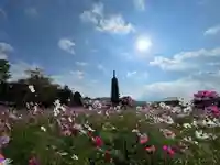 般若寺 ❁コスモス寺❁(奈良県)