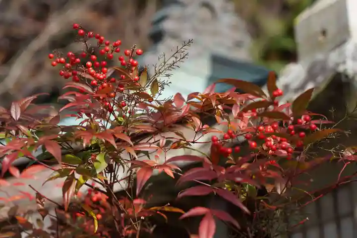 鹿島大神宮の自然