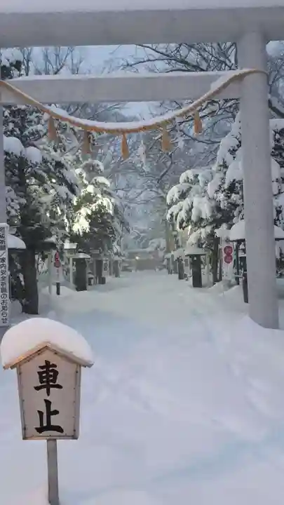 新琴似神社の鳥居