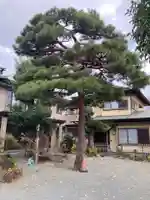 光円寺(神奈川県)