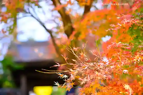 円覚寺(神奈川県)