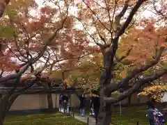 大徳寺(京都府)