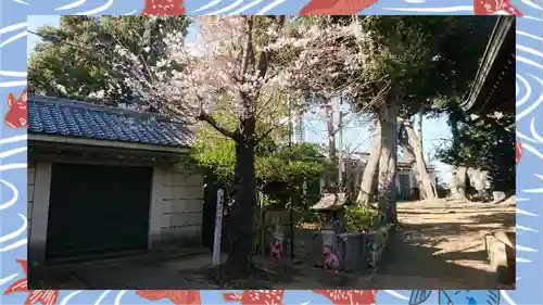 赤羽八幡神社(東京都)
