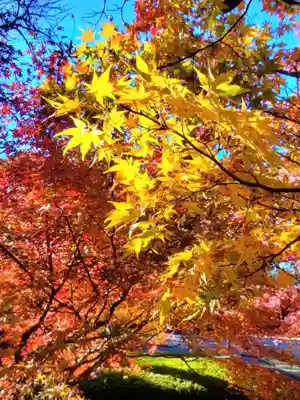 福蔵院(東京都)