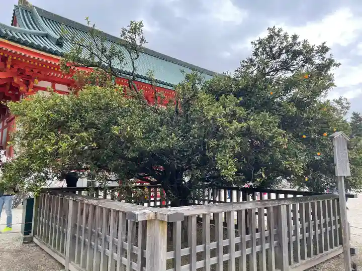 平安神宮の自然