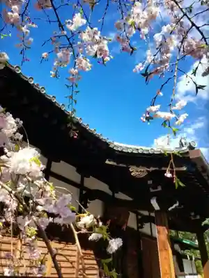 玄国寺(東京都)