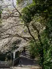 前原御嶽神社の自然