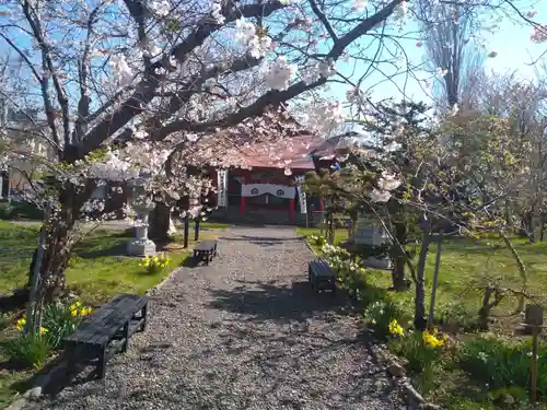 厳島神社の建物その他