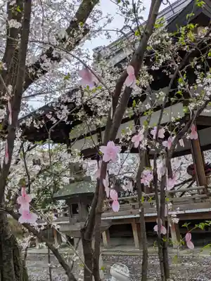 天孫神社(滋賀県)