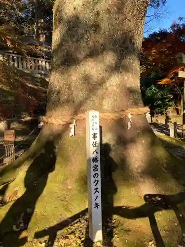 事任八幡宮(静岡県)