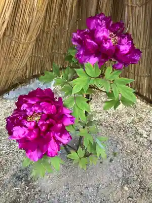 當麻寺 奥院(奈良県)