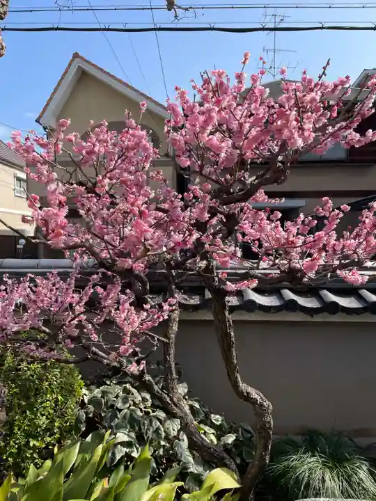 徳林寺(京都府)