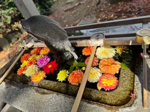 神炊館神社 ⁂奥州須賀川総鎮守⁂(福島県)