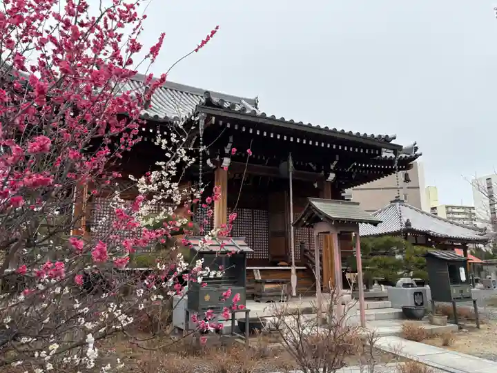 蓮花寺(大阪府)