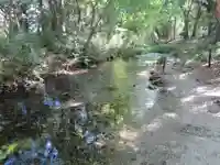 賀茂御祖神社(下鴨神社)の自然