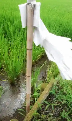 八龍社（稲島）の自然