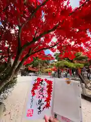 紅葉八幡宮(福岡県)