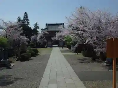 東勝寺宗吾霊堂のその他建物