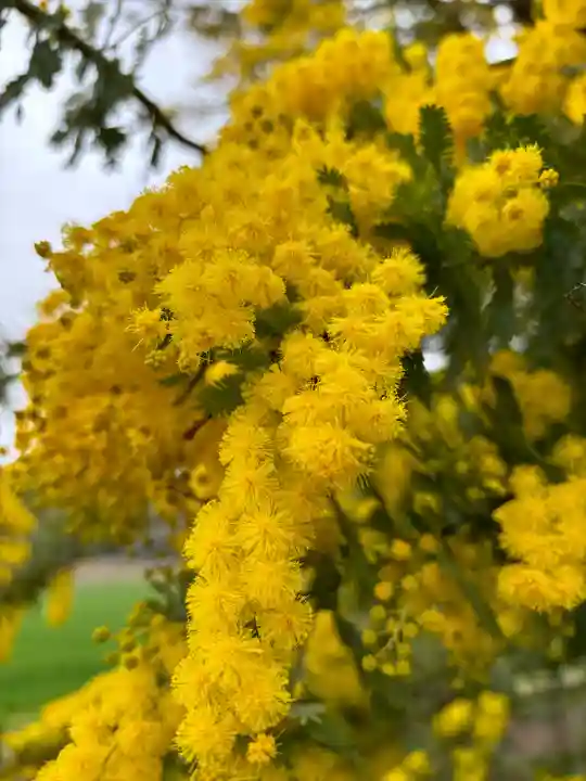 円照寺(兵庫県)