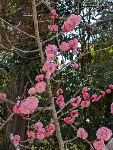 東福禅寺（東福寺）(京都府)