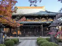 豪徳寺(東京都)