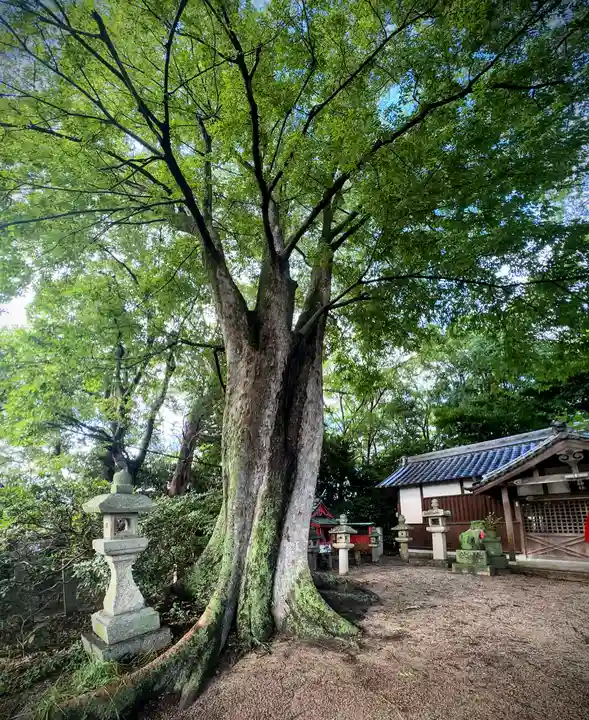 春日神社(奈良県)