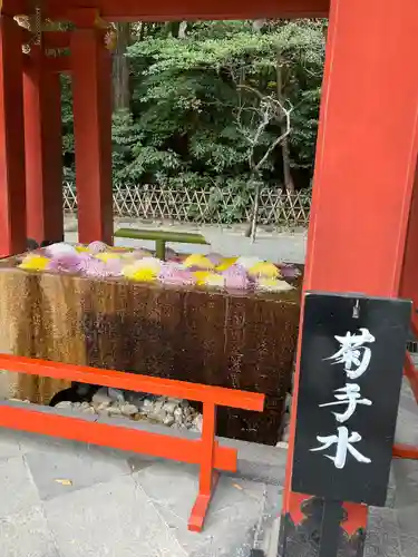 鶴岡八幡宮(神奈川県)
