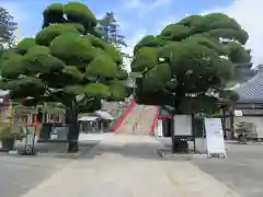 中山寺(兵庫県)