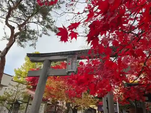 彌彦神社　(伊夜日子神社)の鳥居