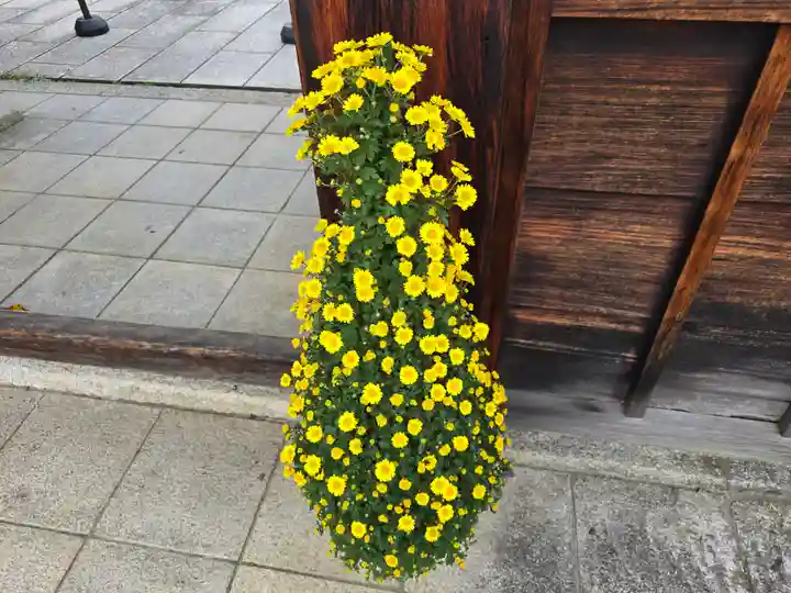 霊鑑寺門跡(京都府)