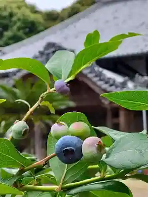 全忠寺(愛知県)