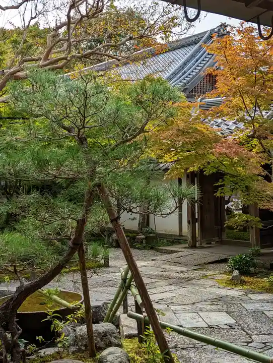 圓光寺(京都府)