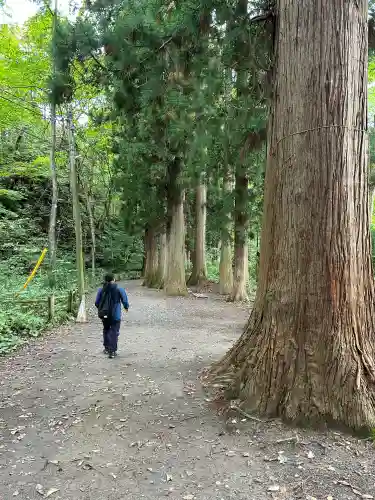 十和田神社の{uncategorized: "未分類", other: "その他", undefined: "問題あり", building: "その他建物", grave: "お墓", sacred_gate: "鳥居", guardian: "狛犬", statue: "像", buddha: "仏像", history: "歴史", nature: "自然", garden: "庭園", animal: "動物", pagoda: "塔", temizu: "手水舎", mountain_gate: "山門・神門", sanctuary: "本殿・本堂", subordinate: "末社・摂社", art: "芸術", scenery: "景色", jizo: "地蔵", ema: "絵馬", goshuin: "御朱印", omikuji: "おみくじ", items: "授与品その他", amulet: "お守り", goshuincho: "御朱印帳", eats: "食事", festival: "お祭り", votive_dance: "神楽", shichigosan: "七五三参", wedding: "結婚式", experience: "体験その他", initially: "初詣", around: "周辺", anti_infection: "感染症対策"}