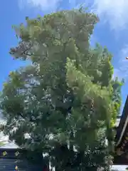 御嶽神社(埼玉県)