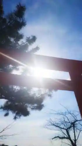 秋葉神社の鳥居