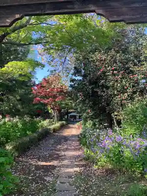 龍真寺(群馬県)