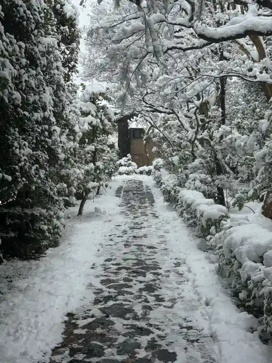大光院の{uncategorized: "未分類", other: "その他", undefined: "問題あり", building: "その他建物", grave: "お墓", sacred_gate: "鳥居", guardian: "狛犬", statue: "像", buddha: "仏像", history: "歴史", nature: "自然", garden: "庭園", animal: "動物", pagoda: "塔", temizu: "手水舎", mountain_gate: "山門・神門", sanctuary: "本殿・本堂", subordinate: "末社・摂社", art: "芸術", scenery: "景色", jizo: "地蔵", ema: "絵馬", goshuin: "御朱印", omikuji: "おみくじ", items: "授与品その他", amulet: "お守り", goshuincho: "御朱印帳", eats: "食事", festival: "お祭り", votive_dance: "神楽", shichigosan: "七五三参", wedding: "結婚式", experience: "体験その他", initially: "初詣", around: "周辺", anti_infection: "感染症対策"}