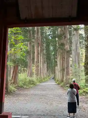 戸隠神社奥社(長野県)