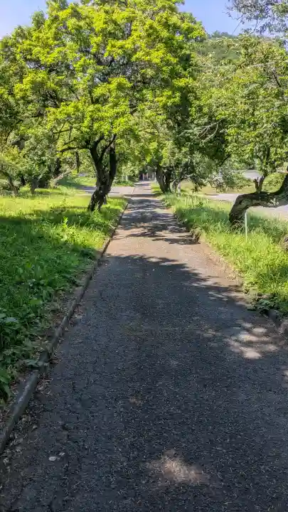 華藏寺(梅澤不動尊) (栃木県)
