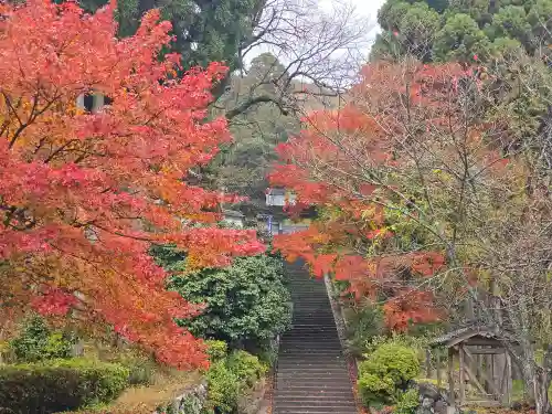 酒波寺(滋賀県)