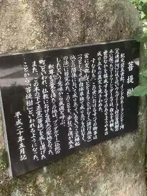 円周寺の歴史
