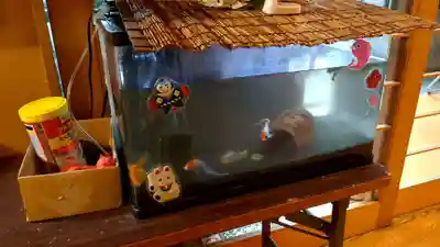 妙心寺(北海道)