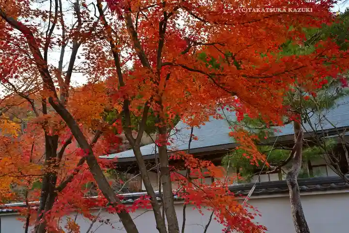 宝徳寺(群馬県)