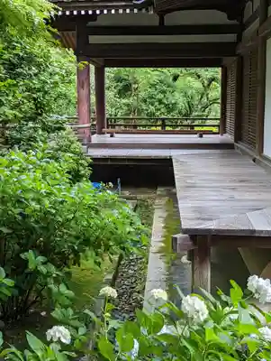 法金剛院(京都府)